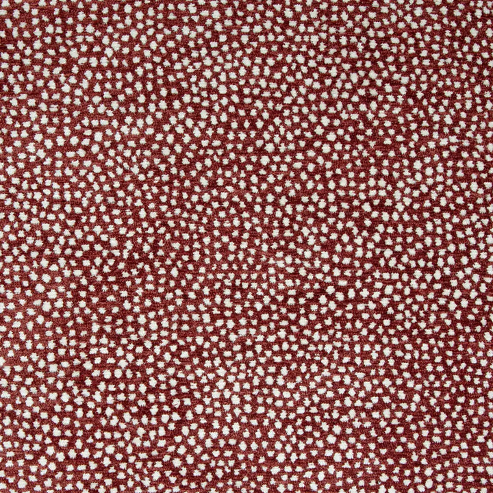 Lauritzon Confetti 11