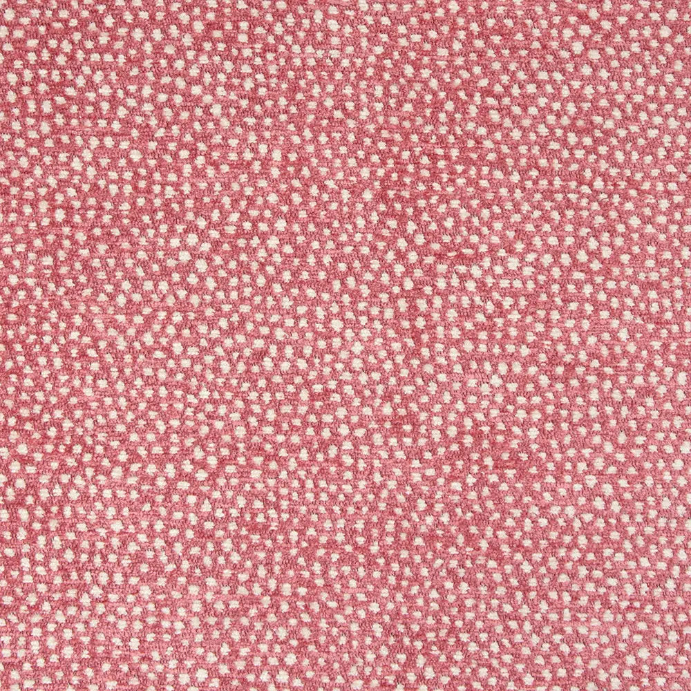 Lauritzon Confetti 6