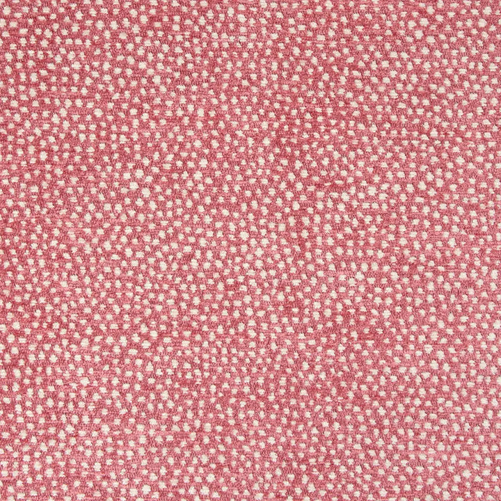 Lauritzon Confetti 6