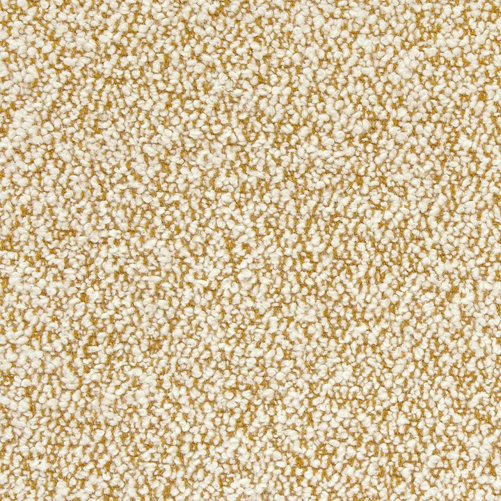 Lauritzon Riccio 203