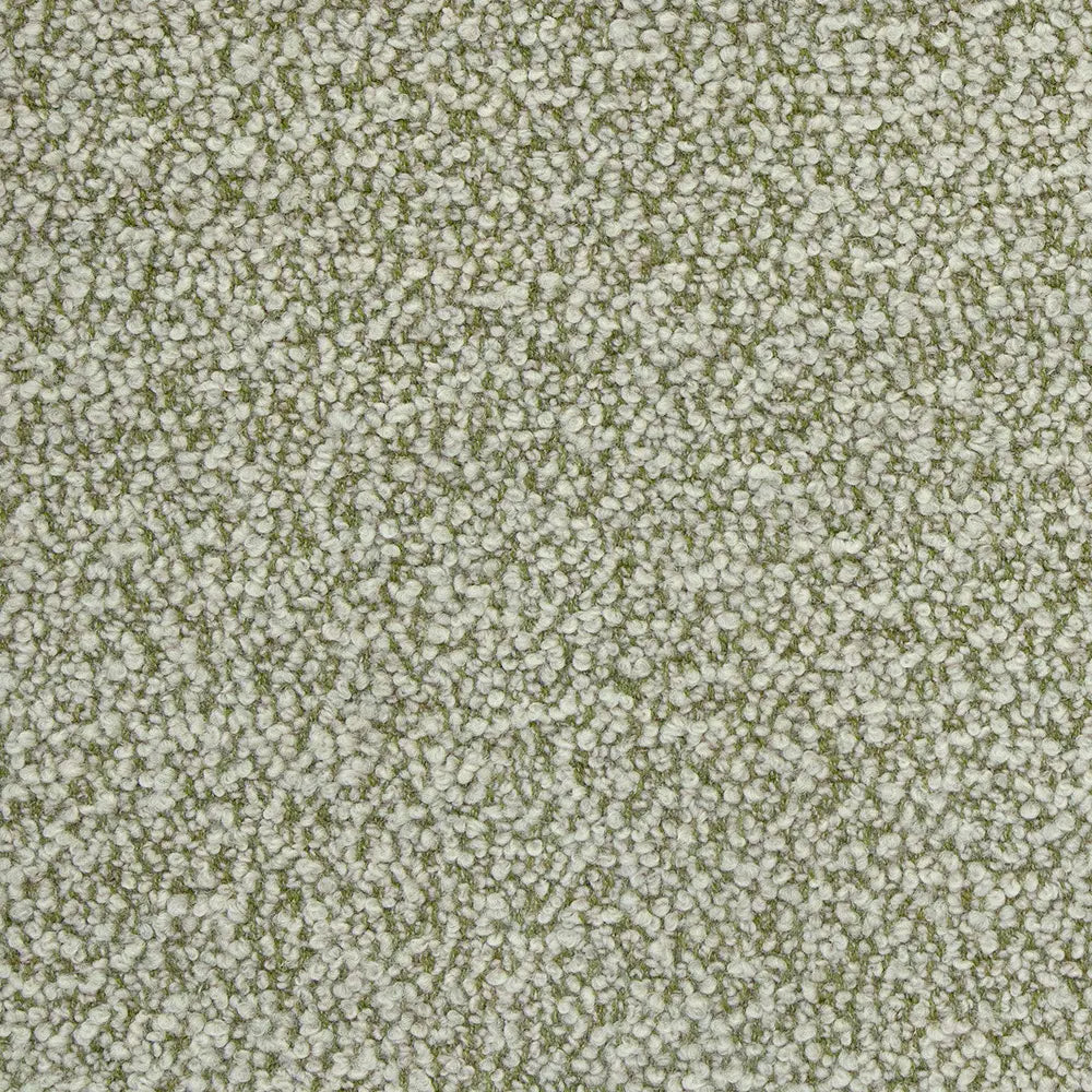 Lauritzon Riccio 204