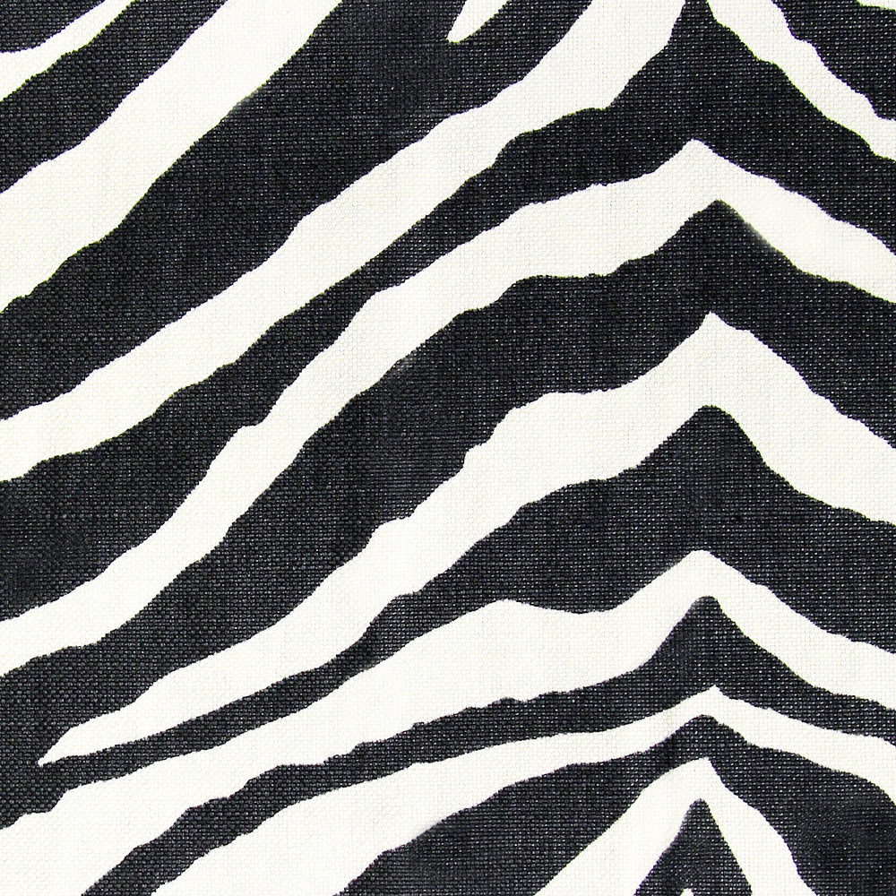 Zebra 30